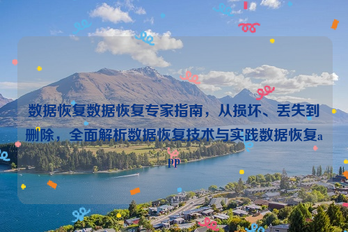 数据恢复数据恢复专家指南，从损坏、丢失到删除，全面解析数据恢复技术与实践数据恢复app