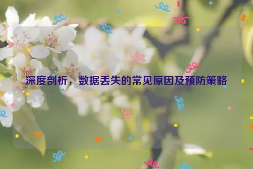 深度剖析，数据丢失的常见原因及预防策略