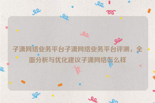 子潇网络业务平台子潇网络业务平台评测，全面分析与优化建议子潇网络怎么样