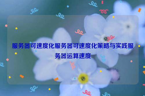 服务器可速度化服务器可速度化策略与实践服务器运算速度