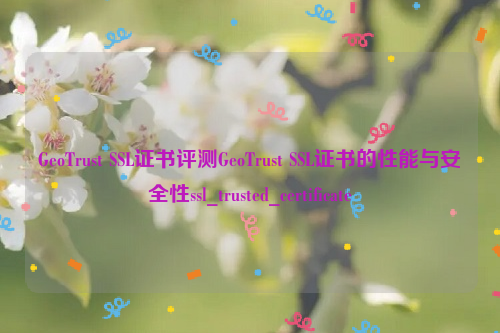 GeoTrust SSL证书评测GeoTrust SSL证书的性能与安全性ssl_trusted_certificate