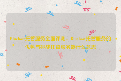 Bluehost托管服务全面评测，Bluehost托管服务的优势与挑战托管服务器什么意思