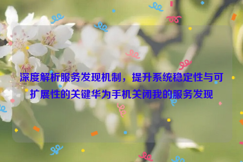 深度解析服务发现机制，提升系统稳定性与可扩展性的关键华为手机关闭我的服务发现