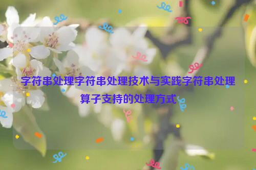 字符串处理字符串处理技术与实践字符串处理算子支持的处理方式