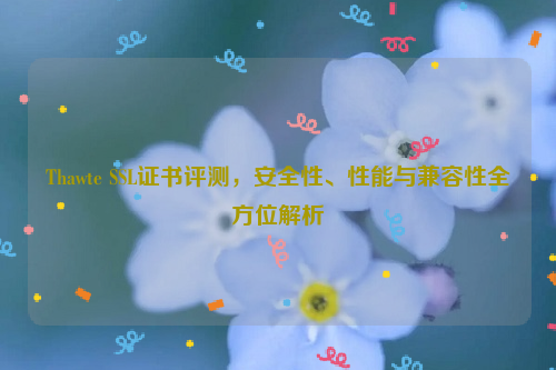 Thawte SSL证书评测，安全性、性能与兼容性全方位解析