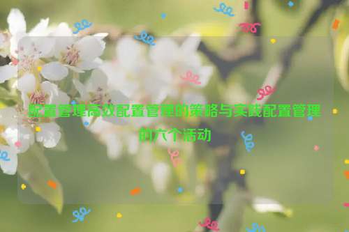 配置管理高效配置管理的策略与实践配置管理的六个活动