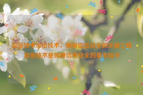 加密技术加密技术，确保信息安全的关键工具加密技术是保障信息安全的基本技术