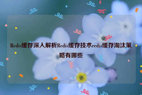 Redis缓存深入解析Redis缓存技术redis缓存淘汰策略有哪些
