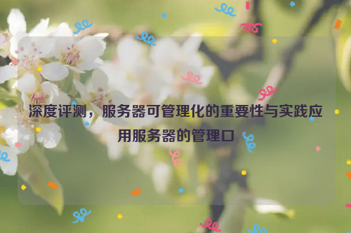 深度评测，服务器可管理化的重要性与实践应用服务器的管理口