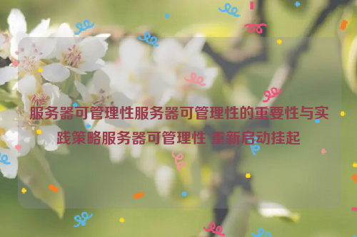 服务器可管理性服务器可管理性的重要性与实践策略服务器可管理性 重新启动挂起