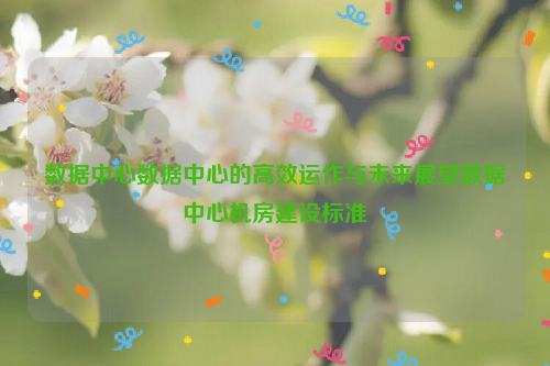 数据中心数据中心的高效运作与未来展望数据中心机房建设标准