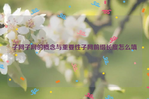 子网子网的概念与重要性子网前缀长度怎么填