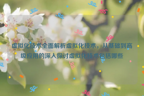 虚拟化技术全面解析虚拟化技术，从基础到高级应用的深入探讨虚拟化技术包括哪些