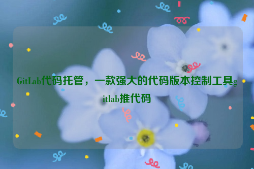 GitLab代码托管，一款强大的代码版本控制工具gitlab推代码