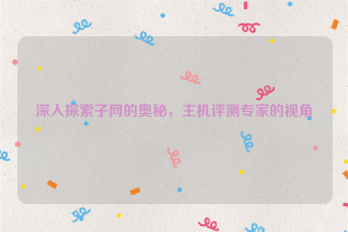 深入探索子网的奥秘，主机评测专家的视角