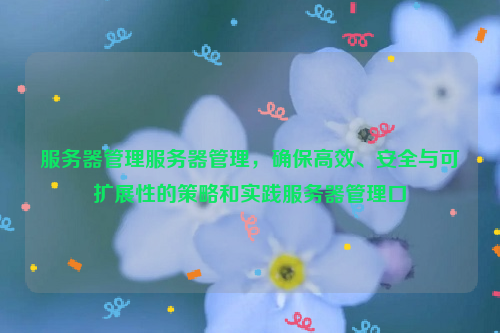 服务器管理服务器管理，确保高效、安全与可扩展性的策略和实践服务器管理口