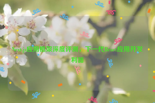 Next.js应用框架深度评测，下一代React应用开发利器