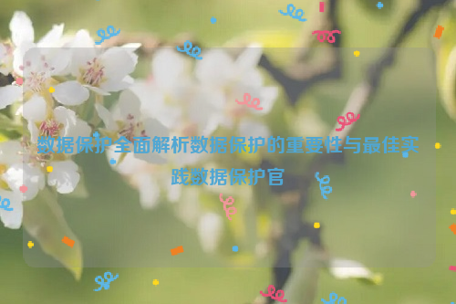 数据保护全面解析数据保护的重要性与最佳实践数据保护官