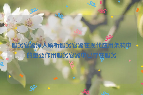 服务容器深入解析服务容器在现代应用架构中的重要作用服务容器中已存在服务