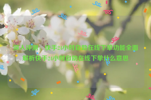 深入评测，快手24小时自助在线下单功能全面解析快手24小时自助在线下单什么意思