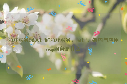SOAP服务深入理解SOAP服务，原理、架构与应用soap服务是什么
