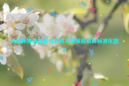 机房标准的重要性及其实施策略机房标准化图片