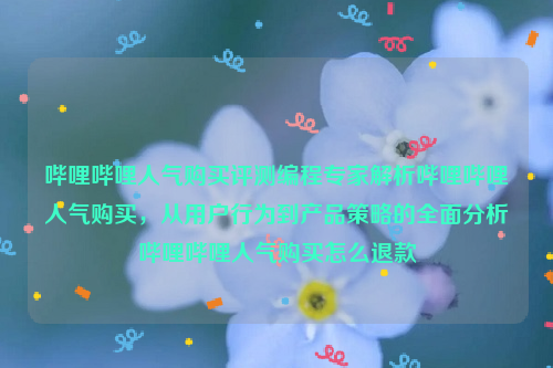 哔哩哔哩人气购买评测编程专家解析哔哩哔哩人气购买，从用户行为到产品策略的全面分析哔哩哔哩人气购买怎么退款