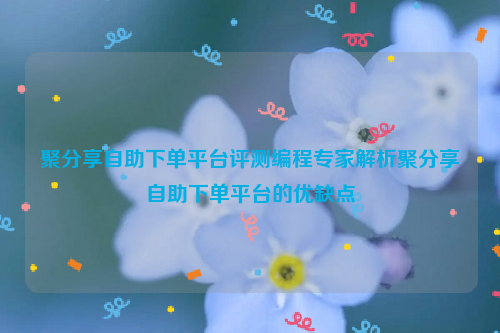 聚分享自助下单平台评测编程专家解析聚分享自助下单平台的优缺点