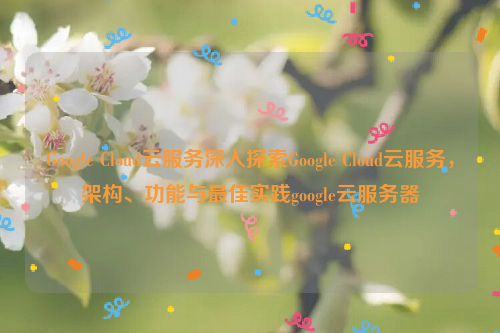 Google Cloud云服务深入探索Google Cloud云服务，架构、功能与最佳实践google云服务器