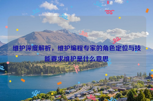 维护深度解析，维护编程专家的角色定位与技能要求维护是什么意思