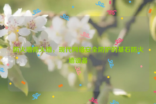 防火墙防火墙，现代网络安全防护的基石防火墙设备