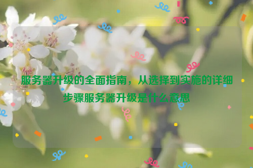 服务器升级的全面指南，从选择到实施的详细步骤服务器升级是什么意思