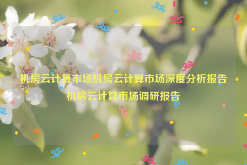 机房云计算市场机房云计算市场深度分析报告机房云计算市场调研报告