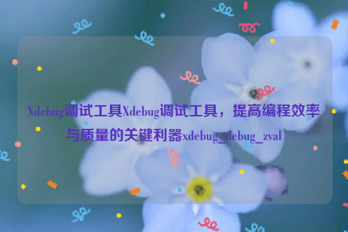 Xdebug调试工具Xdebug调试工具，提高编程效率与质量的关键利器xdebug_debug_zval