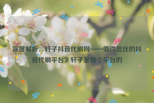 深度解析，轩子抖音代刷网——值得信任的抖音代刷平台？轩子是哪个平台的