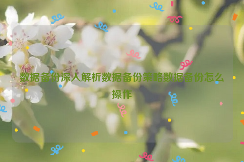 数据备份深入解析数据备份策略数据备份怎么操作