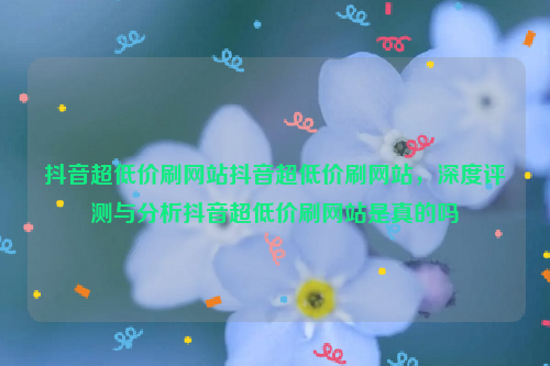 抖音超低价刷网站抖音超低价刷网站，深度评测与分析抖音超低价刷网站是真的吗