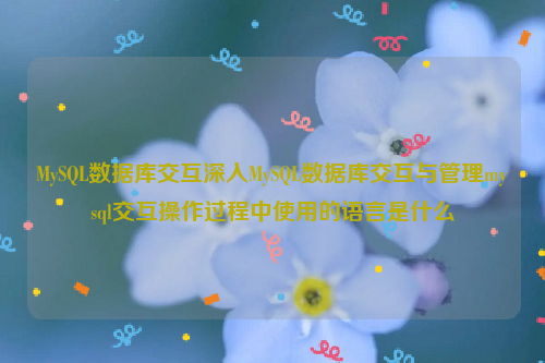 MySQL数据库交互深入MySQL数据库交互与管理mysql交互操作过程中使用的语言是什么
