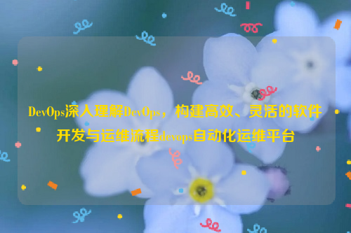 DevOps深入理解DevOps，构建高效、灵活的软件开发与运维流程devops自动化运维平台