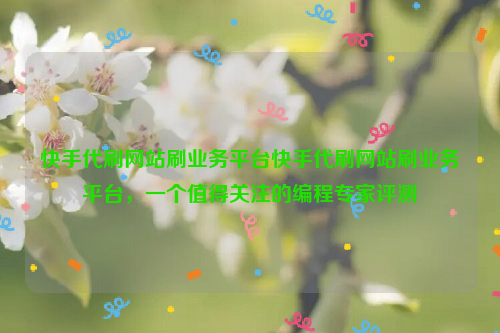 快手代刷网站刷业务平台快手代刷网站刷业务平台，一个值得关注的编程专家评测