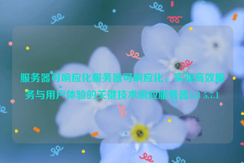 服务器可响应化服务器可响应化，实现高效服务与用户体验的关键技术响应服务器554 5.7.1