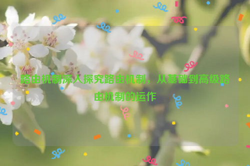 路由机制深入探究路由机制，从基础到高级路由机制的运作