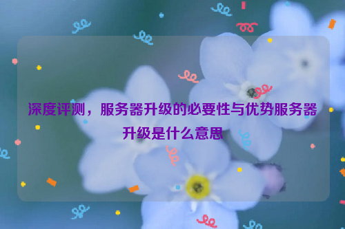 深度评测，服务器升级的必要性与优势服务器升级是什么意思
