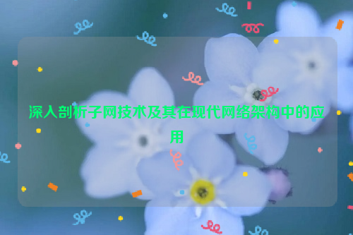 深入剖析子网技术及其在现代网络架构中的应用