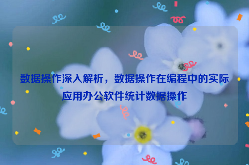 数据操作深入解析，数据操作在编程中的实际应用办公软件统计数据操作
