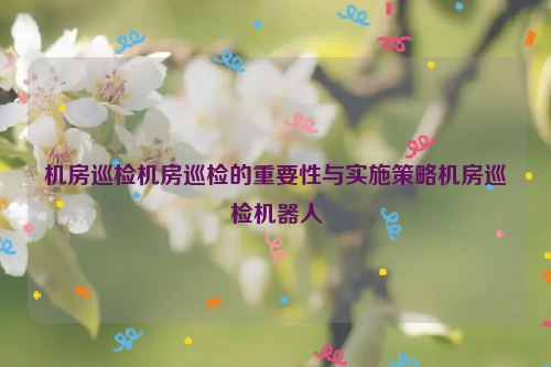 机房巡检机房巡检的重要性与实施策略机房巡检机器人