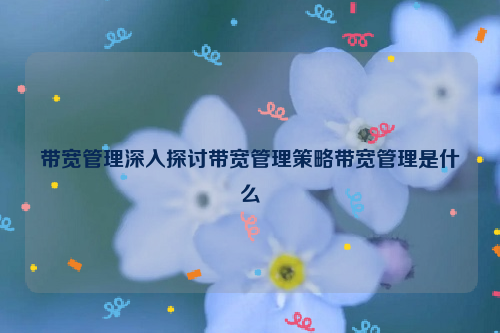 带宽管理深入探讨带宽管理策略带宽管理是什么