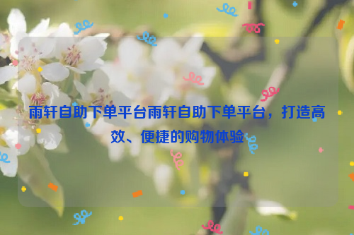 雨轩自助下单平台雨轩自助下单平台，打造高效、便捷的购物体验