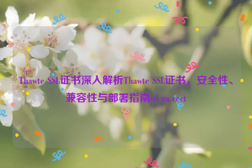 Thawte SSL证书深入解析Thawte SSL证书，安全性、兼容性与部署指南ssl ca cert