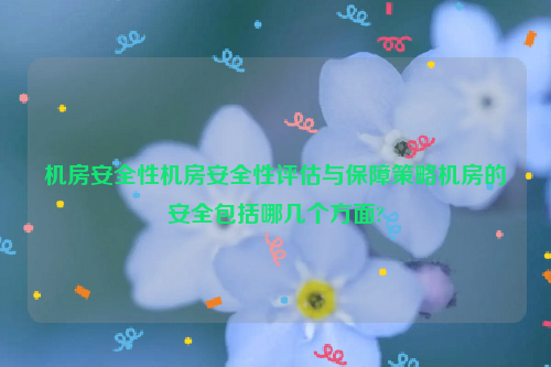 机房安全性机房安全性评估与保障策略机房的安全包括哪几个方面?